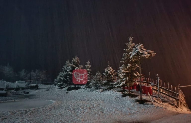 Bie bora e parë në Korçë, zbardhet Dardha