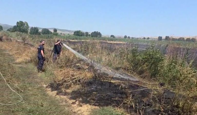 Zjarri në Fushën e Maliqit përfshin zonë torfike – Shmanget përhapja në tokat bujqësore me misër