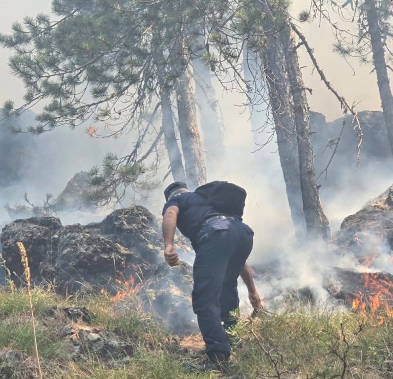 Policia bën bilancin: 137 autorë zjarrvëniesh të identifikuar që nga qershori, 46 në pranga