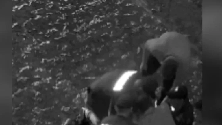 Arrestohet i dyshuari për vrasjen e 21-vjeçarit pas konfliktit Arrestohet i dyshuari për vrasjen e 21-vjeçarit pas konfliktit