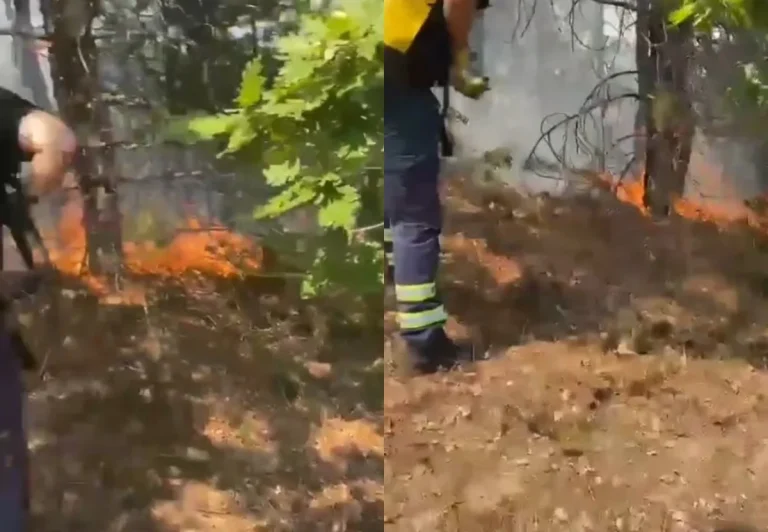 Flakë në masivin pyjor të fshatit Lugaxhi, zjarri rrezikon banesat në Elbasan