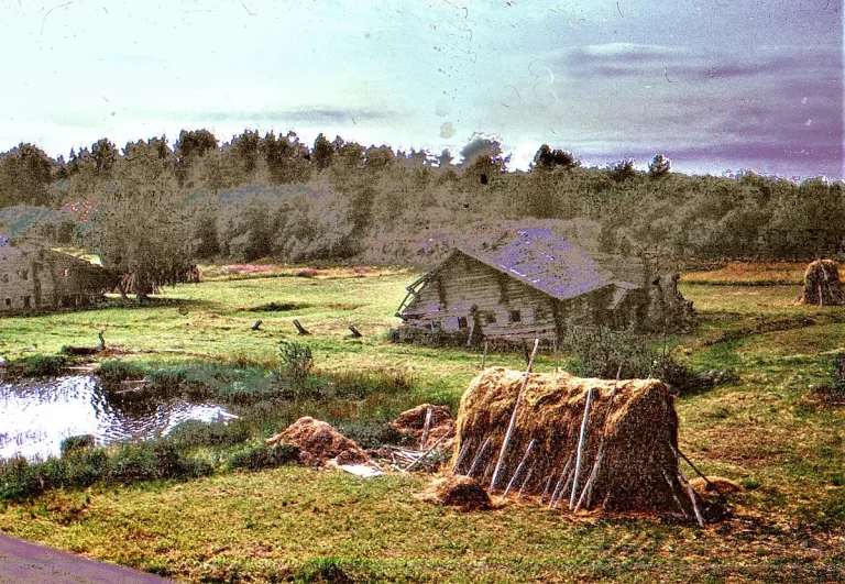 Korça me territorin më të boshatisur në Shqipëri me mbi 80% Korça me territorin më të boshatisur në Shqipëri me mbi 80%