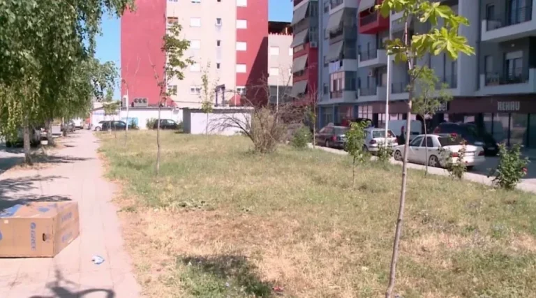 Lagjja 18 në Korçë: Banorët kërkojnë ujitje dhe pastrim Lagjja 18 në Korçë: Banorët kërkojnë ujitje dhe pastrim
