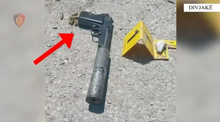Parandalohet vrasja në Divjakë, 22-vjeçari kapet me silenciator Parandalohet vrasja në Divjakë, 22-vjeçari kapet me silenciator