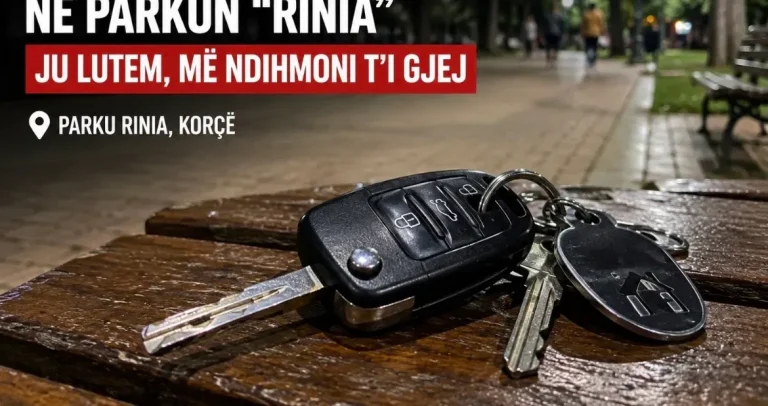 Qytetarja humb çelësat e makinës dhe shtëpisë në Parkun Rinia, apel për ndihmë