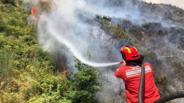 Rreziku i zjarreve në Shqipëri, IGJEO paralajmëron 9 qarqe Rreziku i zjarreve në Shqipëri, IGJEO paralajmëron 9 qarqe