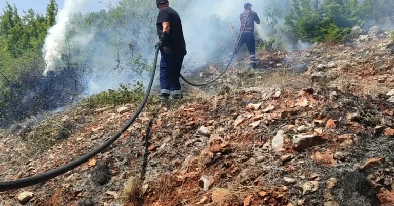 Situata e zjarreve: 7 vatra aktive, rrezik në Mallakastër Situata e zjarreve: 7 vatra aktive, rrezik në Mallakastër