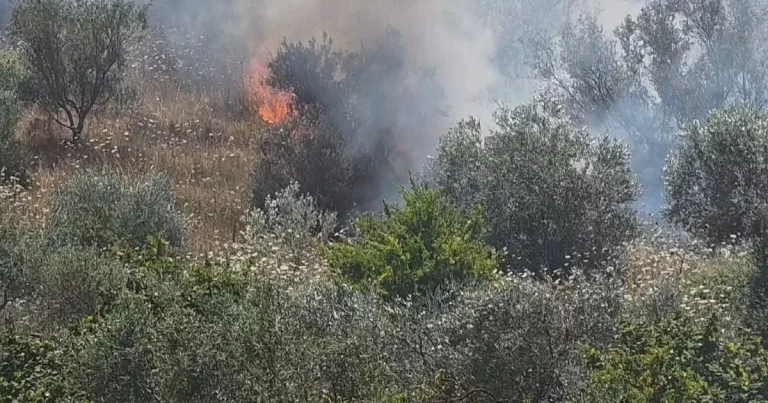 Situata e zjarreve në vend: 8 vatra mbeten aktive nga 35 të raportuara Situata e zjarreve në vend: 8 vatra mbeten aktive nga 35 të raportuara