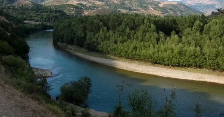 Tragjedi në Bulqizë, gjendet e mbytur vajza 7-vjeçare në Drin