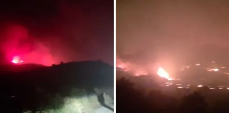 Zjarr masiv në Daias të Tiranës, flakët përhapen gjatë natës