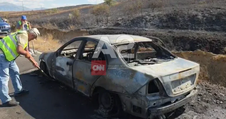 Zjarri në aksin Qafë-Qarri–Ersekë shkrumbon mjetin dhe kullotat Zjarri në aksin Qafë-Qarri–Ersekë shkrumbon mjetin dhe kullotat