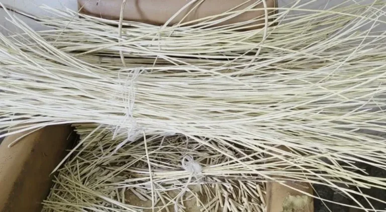 Avni Kallo mban gjallë zanatin e vjetër të thuprës në Korçë