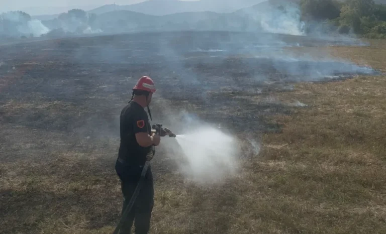 Ersekë, vihet në pranga 75-vjeçari për zjarrvënie të qëllimshme