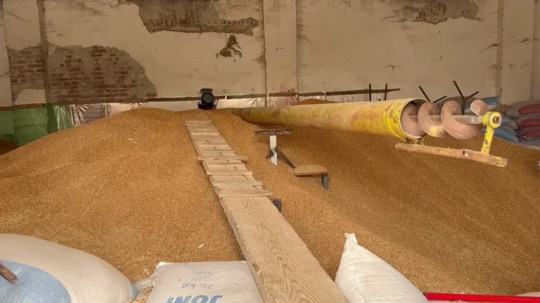 Gruri në Maliq mbetet stok, fermerët drejt falimentimit Gruri në Maliq mbetet stok, fermerët drejt falimentimit