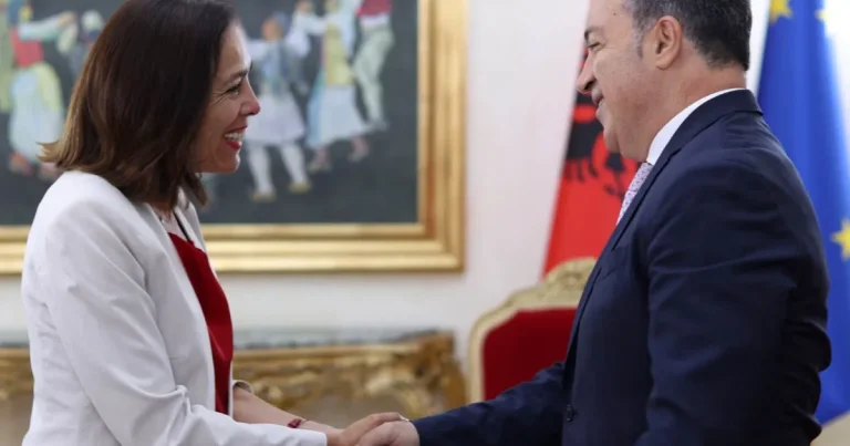 Niko Peleshi takon ambasadoren e BE-së Sofia Moreira de Sousa