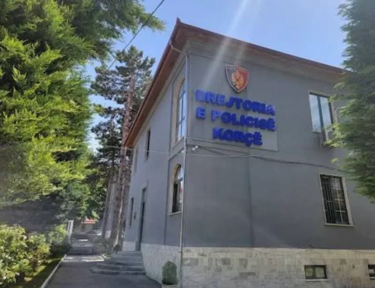 Policia e Korçës sekuestron 14 mijë euro dhe procedon një shtetase