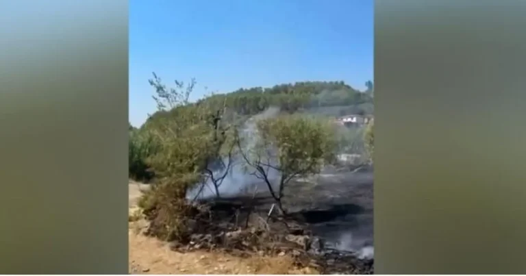 Zjarr në Krastë të Elbasanit, neutralizohen flakët